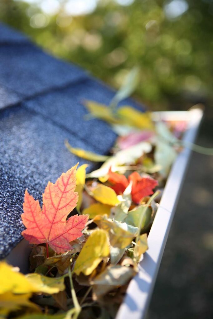 How Often Should Gutter Cleaning Be Performed? Gutter Cleaning Colorado Springs, CO