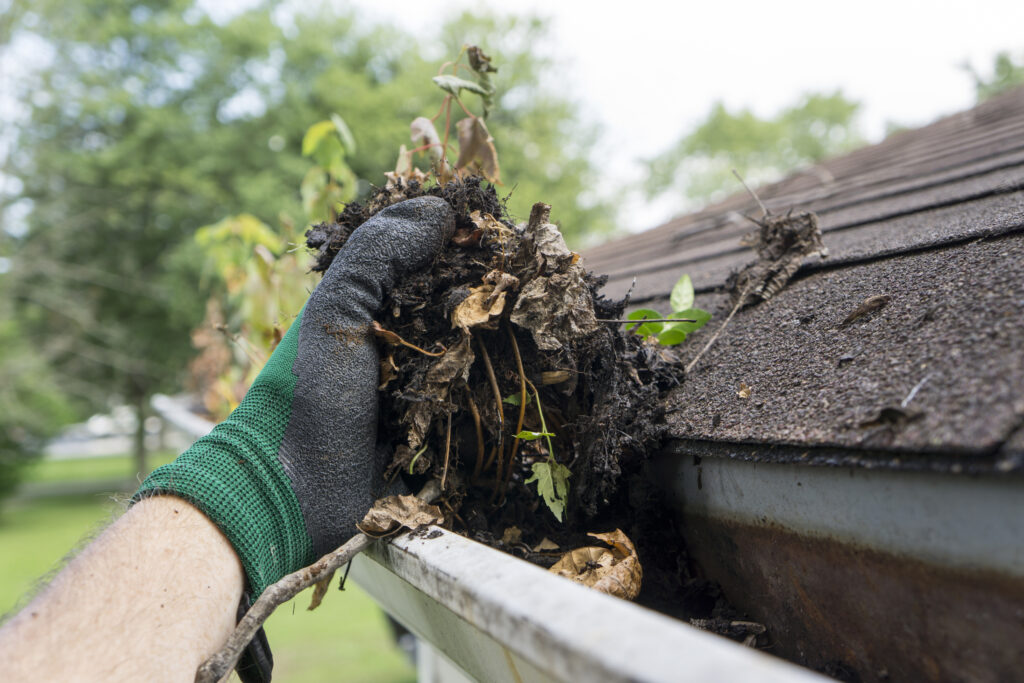 Home Maintenance Colorado Springs, CO