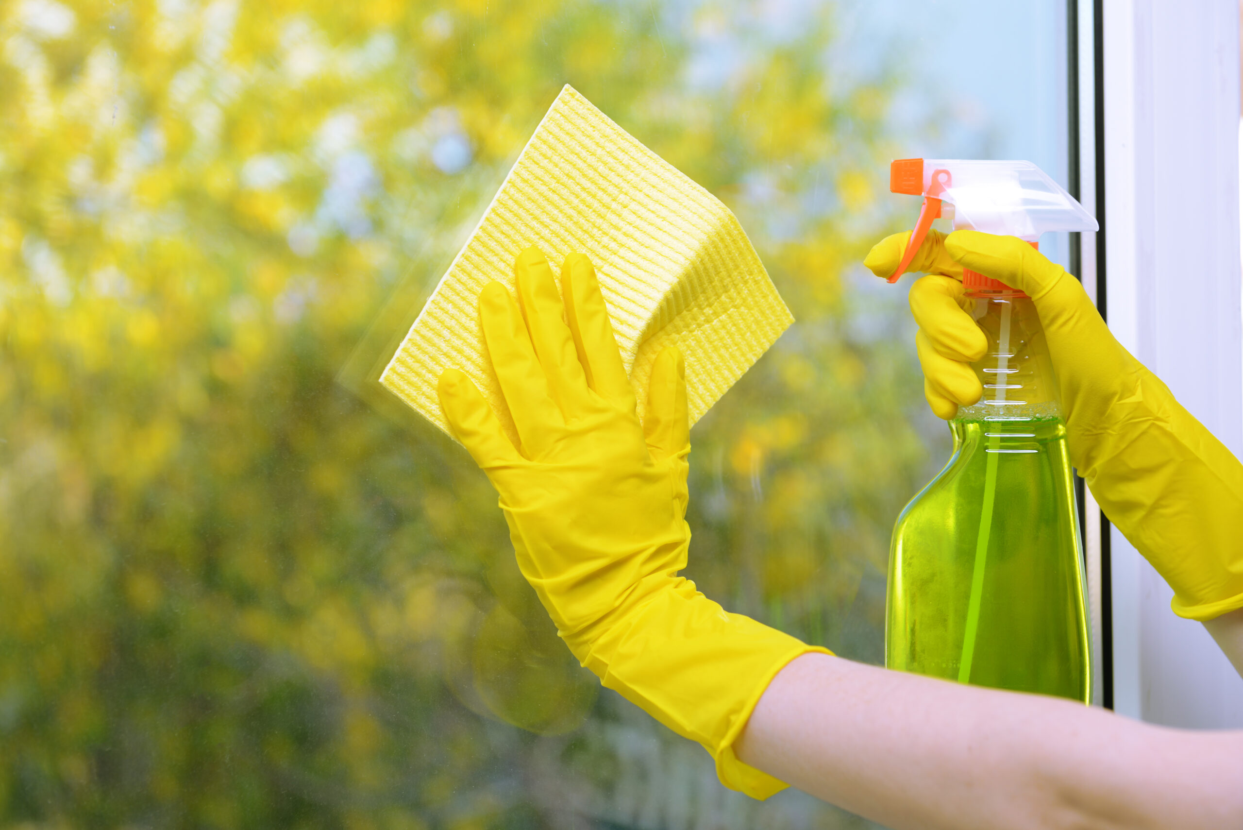Window Cleaner Home Maintenance Colorado Springs, CO Green window cleaners