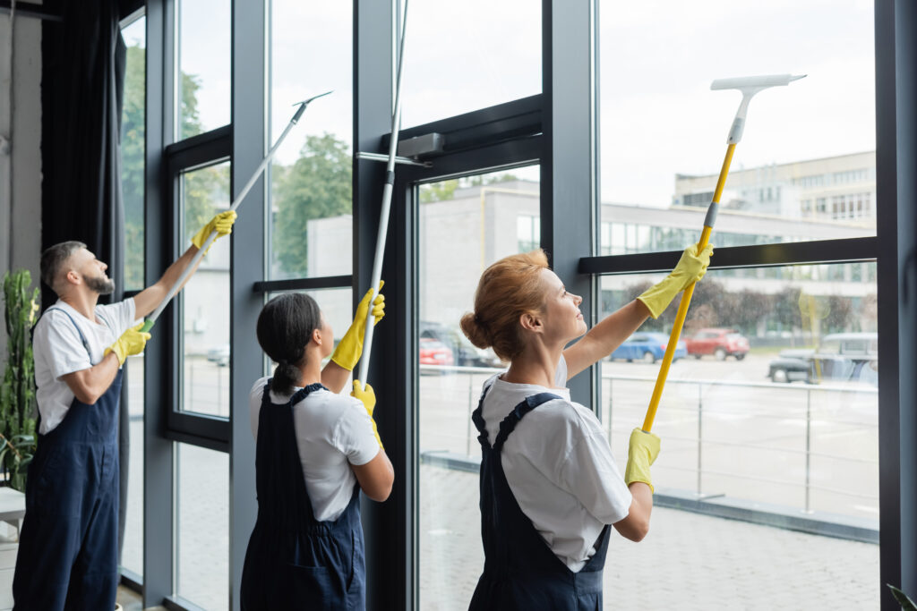 Window cleaning profession