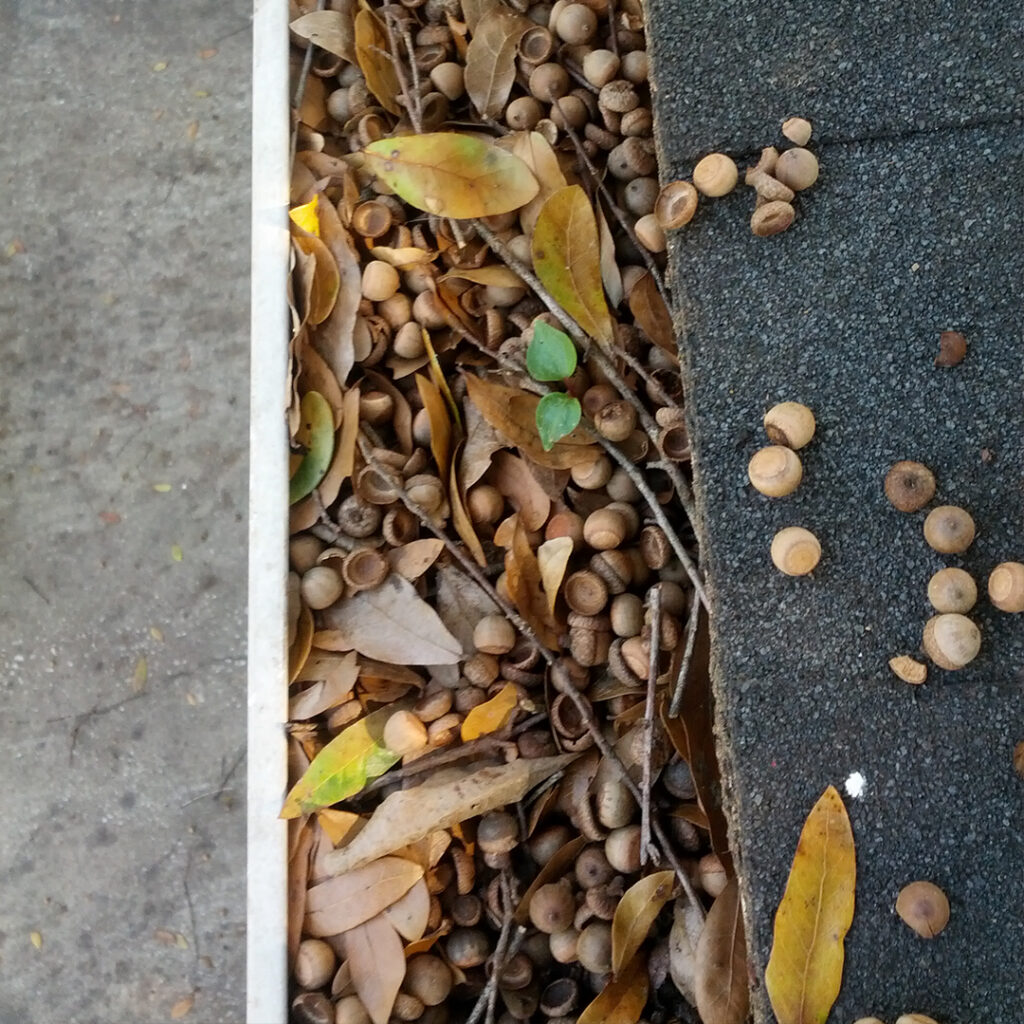 5 Ways To Prepare Your Gutters For Winter