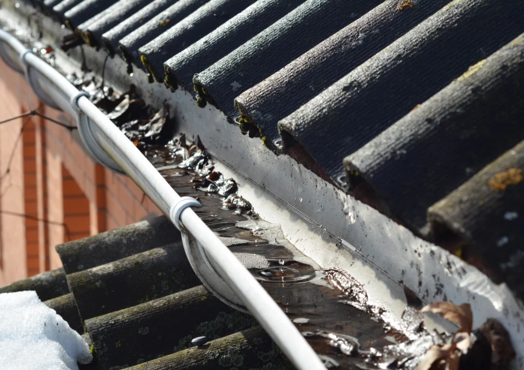 Can Clogged Gutters Lead To Pests? Clogged gutters lead to pests